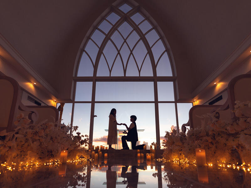 ディナープラン