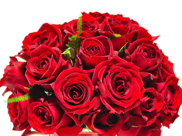 バラの花束 50本